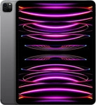 Apple MP203FD/A, APPLE MP203FD/A iPad Pro 32,77cm 12,9Zoll 256GB Cell Gray M2...