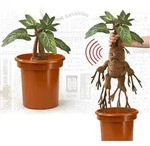 Noble Collection Harry Potter Mandrake Interaktiver Teddy Mehrfarbig Kinder