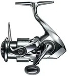Shimano Stella FK 1000 Angelrolle