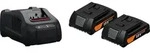 Fein Akku Starterset GBA 18 V 2,0 AH AS 2 Li-Ionen Akkus + Ladeger&auml;t AMPShare -