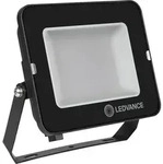 LEDVANCE FLOODLIGHT COMPACT, 50W, 840, SYM 100, BK, 1 Stk. - Wei&szlig;