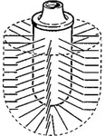 Hansa Ersatz-B&uuml;rstenkopf, 1 Stk. - Wei&szlig;