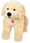 Golden Retriever sitzend 50 cm