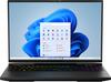 ERAZER Beast X40 43,2cm (17" Zoll 240Hz) QHD+ Gaming Notebook (Intel Core i9-13900HX,