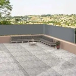 vidaXL Seitenmarkise Ausziehbar Anthrazit 117x1200 cm - Grau