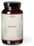 Basicum - Natron Sango-Koralle - 120 DR Kapseln