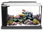 AQUARIEN Fluval Evo Meeresaquarium, Schwarz, 19L