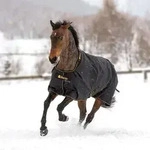 Bucas Irish Turnout 300 g, Outdoordecke, Weidedecke in zwei Farben,...