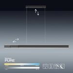 Paul Neuhaus LED Pendelleuchte PURE LUME h&ouml;henverstellbar, CCT Farbsteuerung,