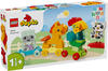 LEGO Duplo 10412, 10412 LEGO DUPLO Tierzug
