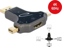 Delock 64060, Delock 64060 DisplayPort / HDMI / USB-C Adapter [1x DisplayPort