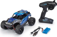 Revell Control 24831, Revell Control 24831 X-Treme Cross Thunder 1:18 RC Einsteiger