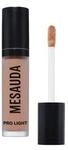 MESAUDA BEAUTY Pro Light Concealer