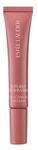 EST&Eacute;E LAUDER Futurist Blushmaker Dewy Cheek Rouge