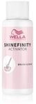 Wella Professionals Shinefinity Activator 2% Brush & Bowl Professionelle Haart&ouml;nung