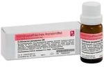 Dr. Reckeweg Echinacea Purpurea D6 Globuli 10 g