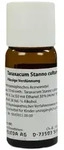 Taraxacum Stanno Cultum D 2 Dilution 50 ml