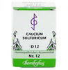 Biochemie 12 Calcium sulfuricum D 12 Tab 80 St