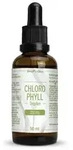 Chlorophyll 200 mg Tropfen 50 ml
