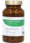 Ackerschachtelhalm 500 mg Extrakt Vitalp 90 St