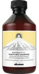 Davines Naturaltech Purifying Shampoo 250 ml