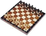 Philos Reiseschach Magnetisch