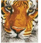 Pracht Diamond Dotz - Tiger, 36 x 42 cm
