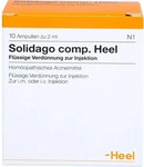 PZN-DE 04404390, Biologische Heilmittel Heel SOLIDAGO COMP.Heel Ampullen 10 St.,