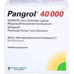 PANGROL 40.000 Hartkps.m.magensaftr.&uuml;berz.Pell. 200 St.