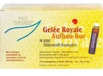 GELEE ROYAL Aufbaukur M800 Trinkampullen 280 g