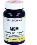 MSM 500 mg GPH Kapseln 60 St.