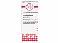 COLOCYNTHIS D 6 Globuli 10 g