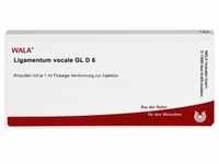 LIGAMENTUM VOCALE GL D 6 Ampullen 10 ml