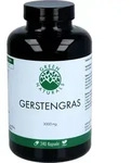 GREEN NATURALS Gerstengras 3000 mg vegan Kapseln 240 St.