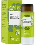 RHUS TOXICODENDRON C 30 Globuli Pfl&uuml;ger Globulisp. 10 g