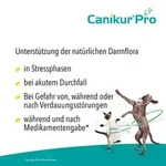 CANIKUR Pro Paste vet. 15 ml