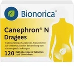 CANEPHRON N Dragees 120 St.