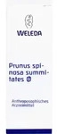 PRUNUS SPINOSA SUMMITATES Urtinktur 50 ml