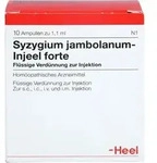 SYZYGIUM JAMBOLANUM INJEEL forte Ampullen 10 St.