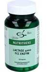 LACTASE 4.000 FCC Enzym Kapseln 100 St.
