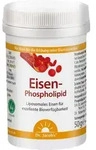 EISEN-PHOSPHOLIPID Dr.Jacob's Pulver 64 g