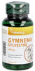 GYMNEMA Sylvestre 400 mg Kapseln 90 St.