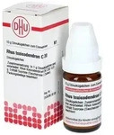RHUS TOXICODENDRON C 30 Globuli 10 g