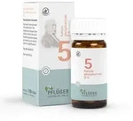 BIOCHEMIE Pfl&uuml;ger 5 Kalium phosphoricum D 6 Tabl. 100 St
