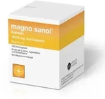 MAGNO SANOL Kapseln 100 St