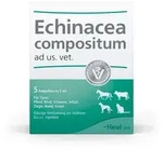 ECHINACEA COMPOSITUM ad us.vet.Ampullen 5 St