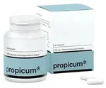 PROPICUM Kapseln 60 St