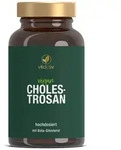 CHOLESTROSAN Kapseln 60 St