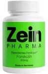 FORSKOLIN Kapseln 50 mg 60 St
