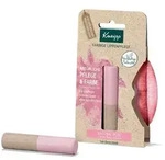 KNEIPP farbige Lippenpflege natural rose 3.5 g